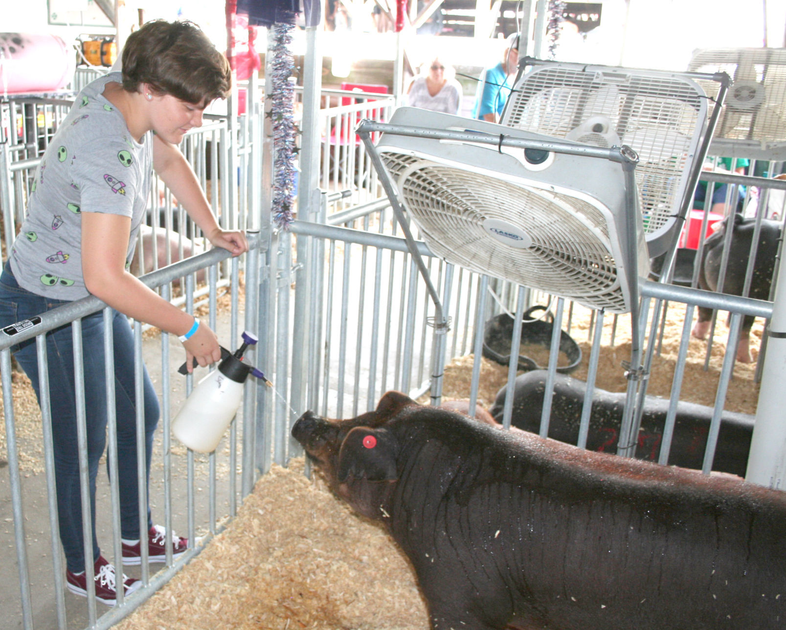 Dodge County Fair AH Saturday 2